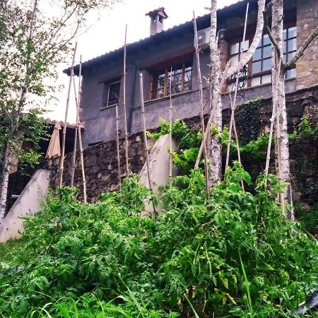 Casa Can Boix La Vall de Bianya Eksteriør billede