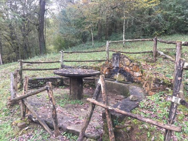 Casa Can Boix La Vall de Bianya Eksteriør billede